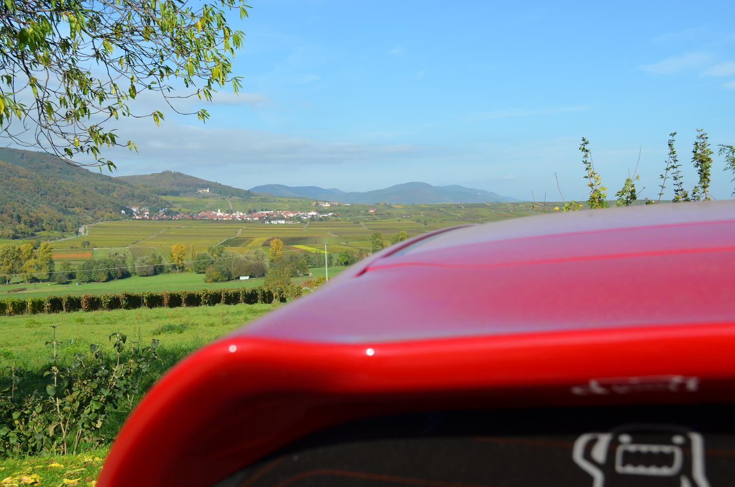 Weinstraße 3.jpg