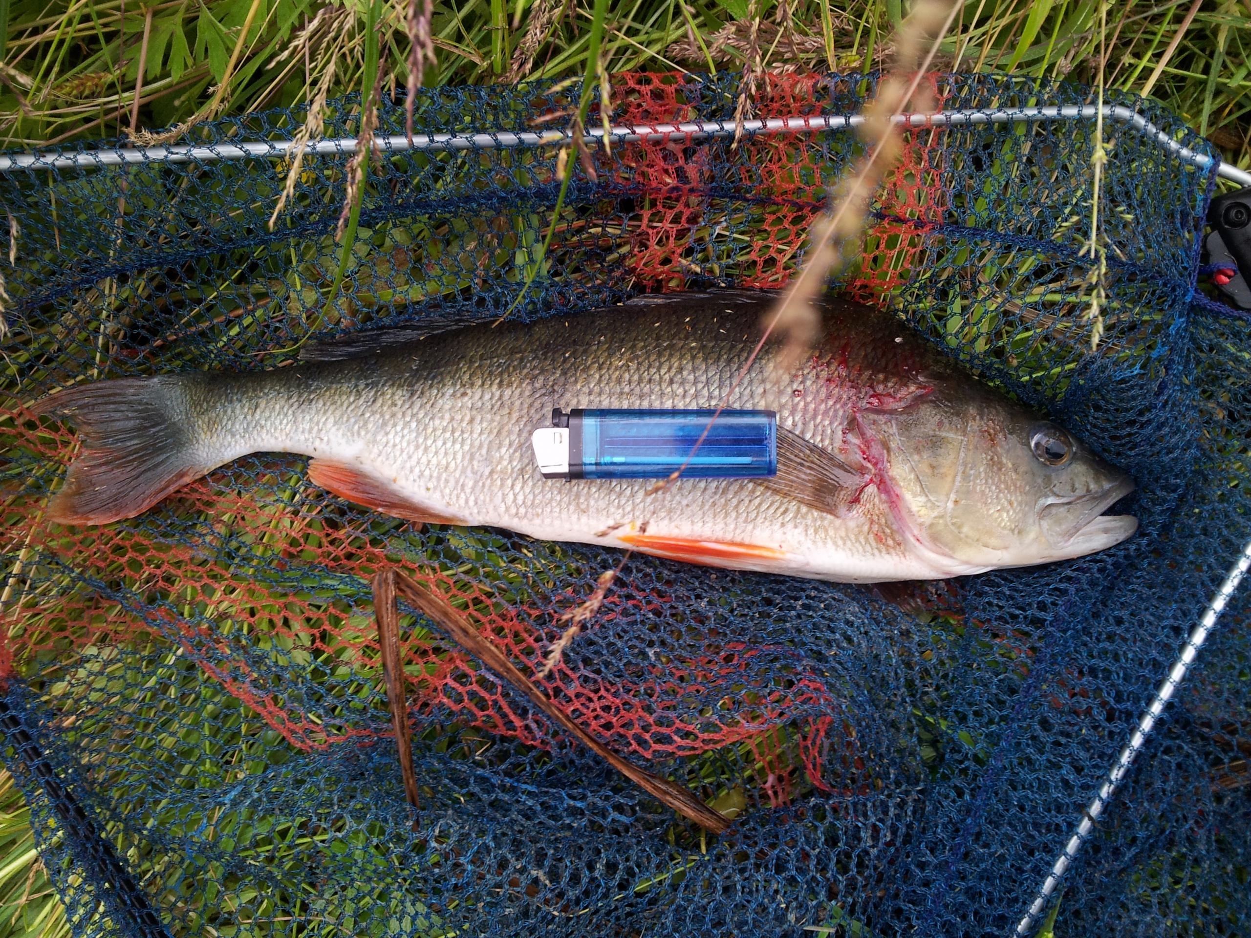 20120626_110959.jpg