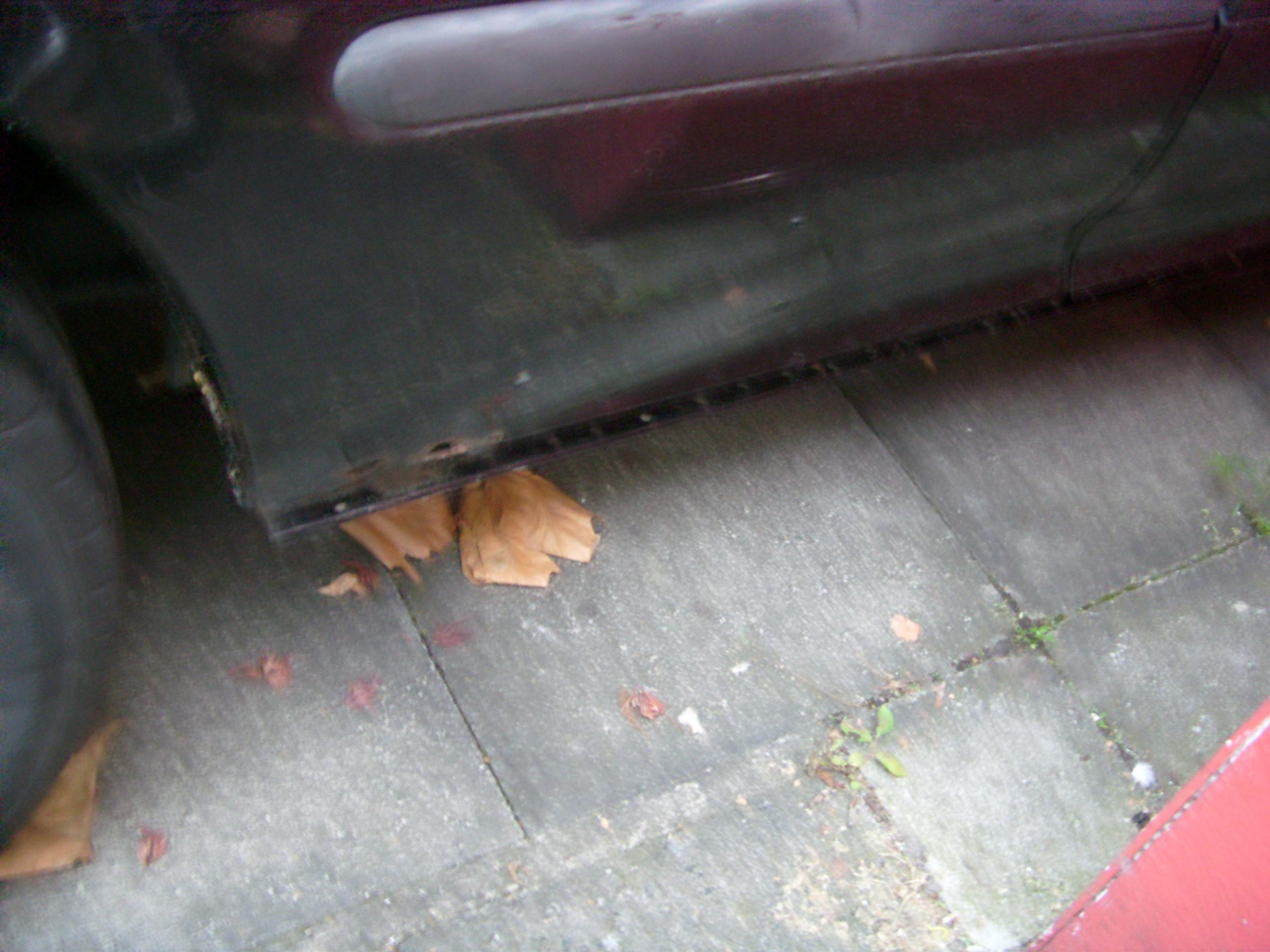 eg6 003.JPG