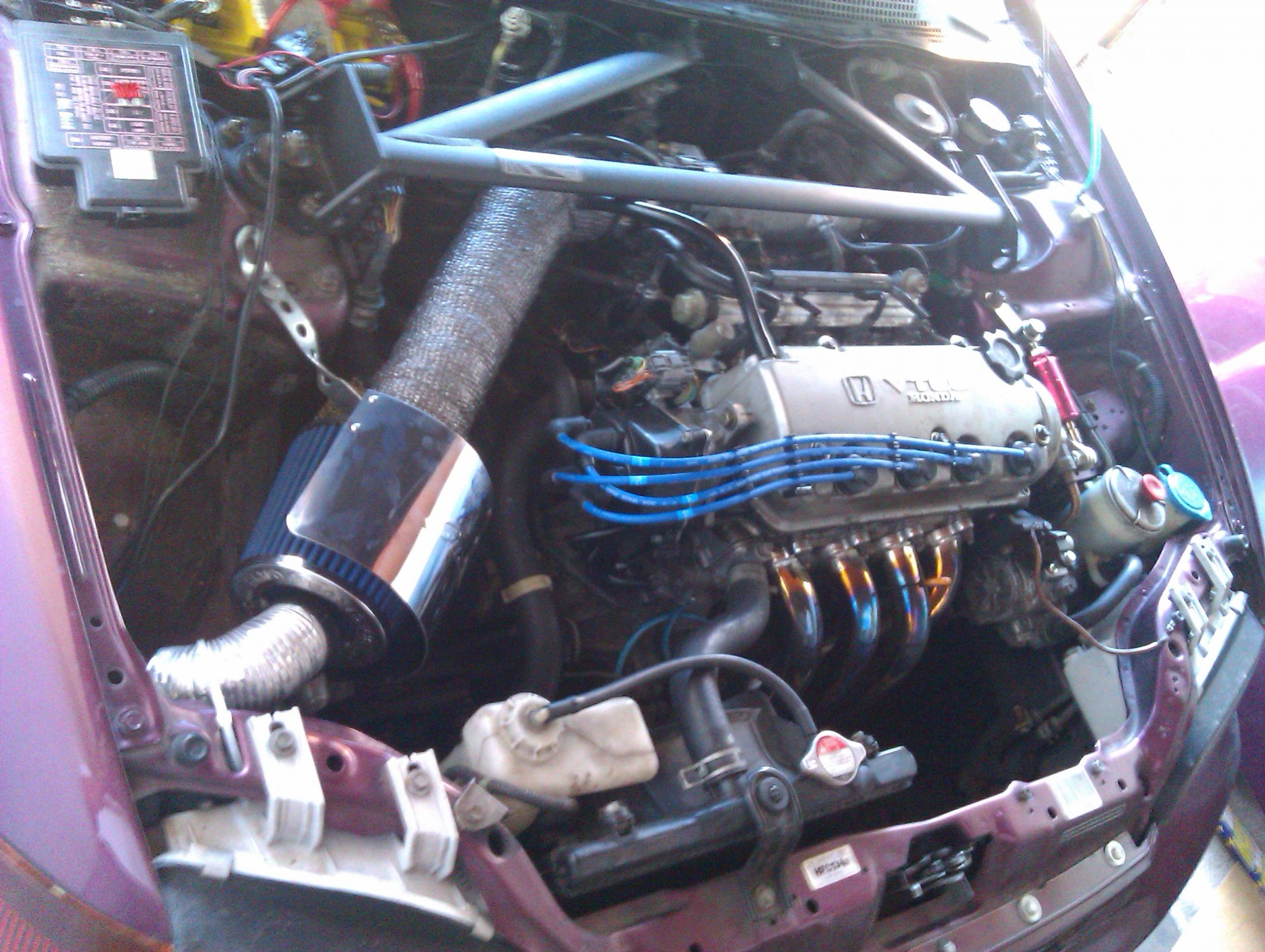 IMAG0235.jpg
