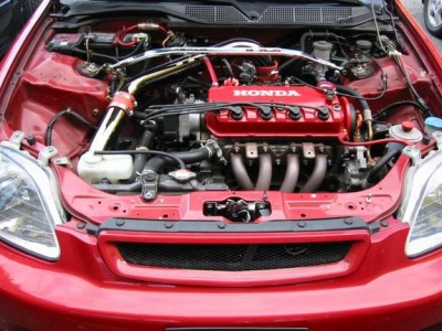 2454750006_large.jpg