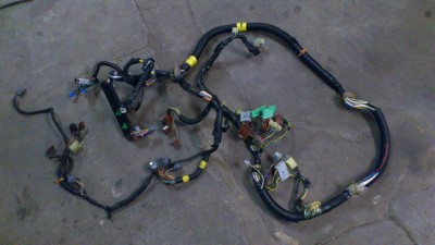 DSC_0365[1].jpg