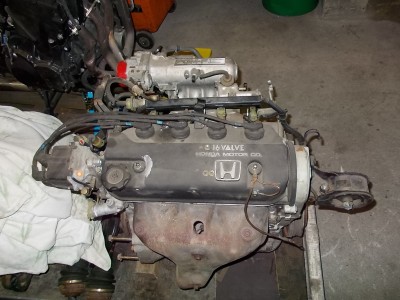 DSCN0955.JPG