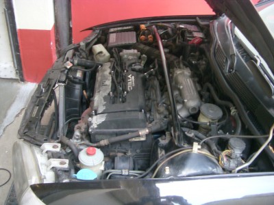 eg6 006.JPG
