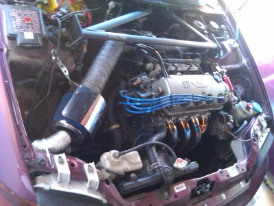 IMAG0235.jpg
