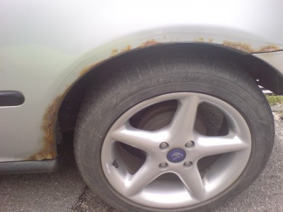 radlauf hinten  fahrerseite ganz.JPG
