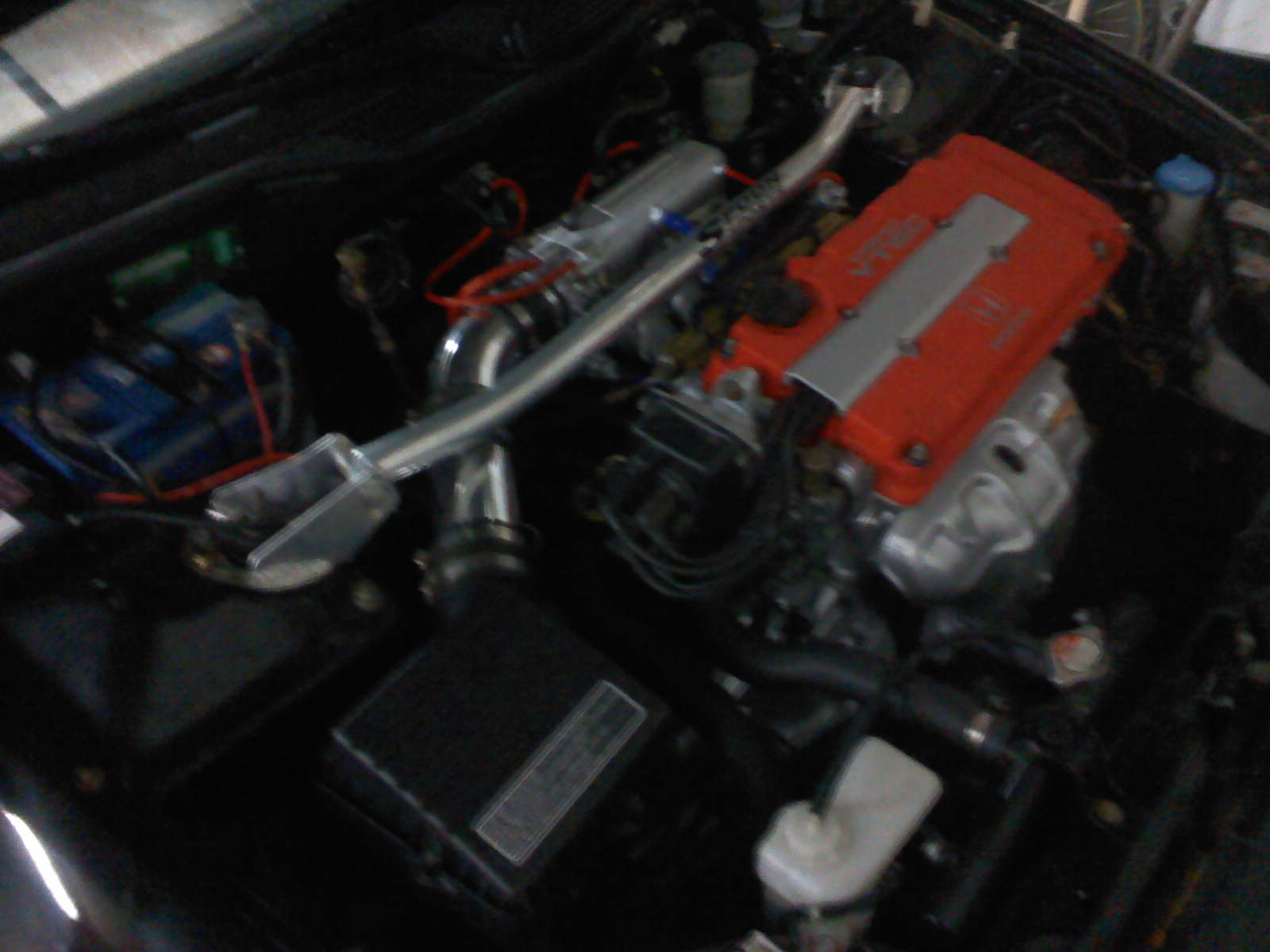 DSC00785.jpg