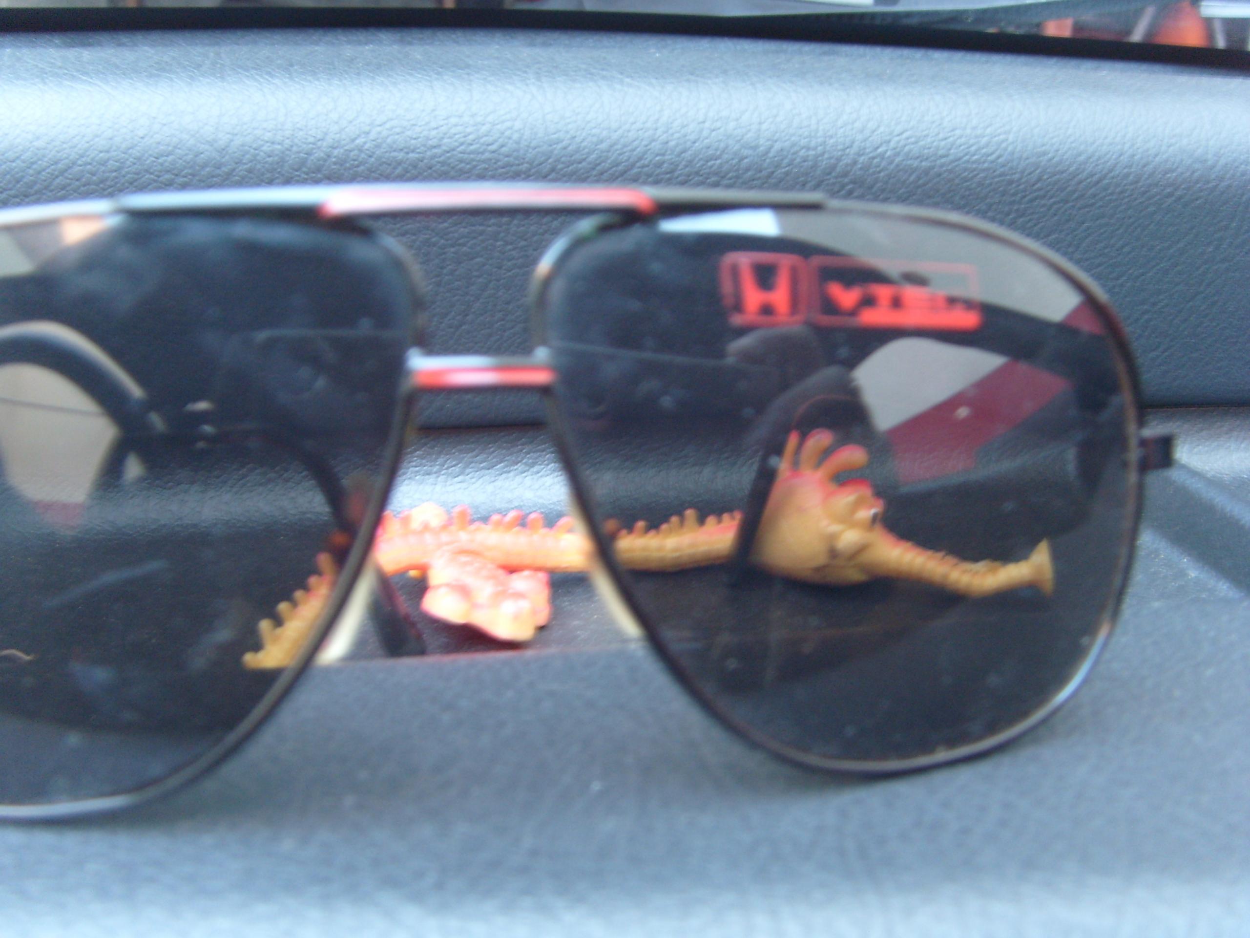 ee8 016.JPG