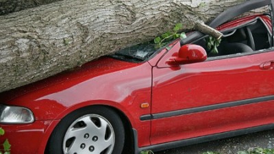 die-gefahren-durch-stuerme-sind-nicht-zu-unterschaetzen.jpg