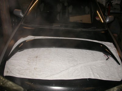 DSCN7800.JPG