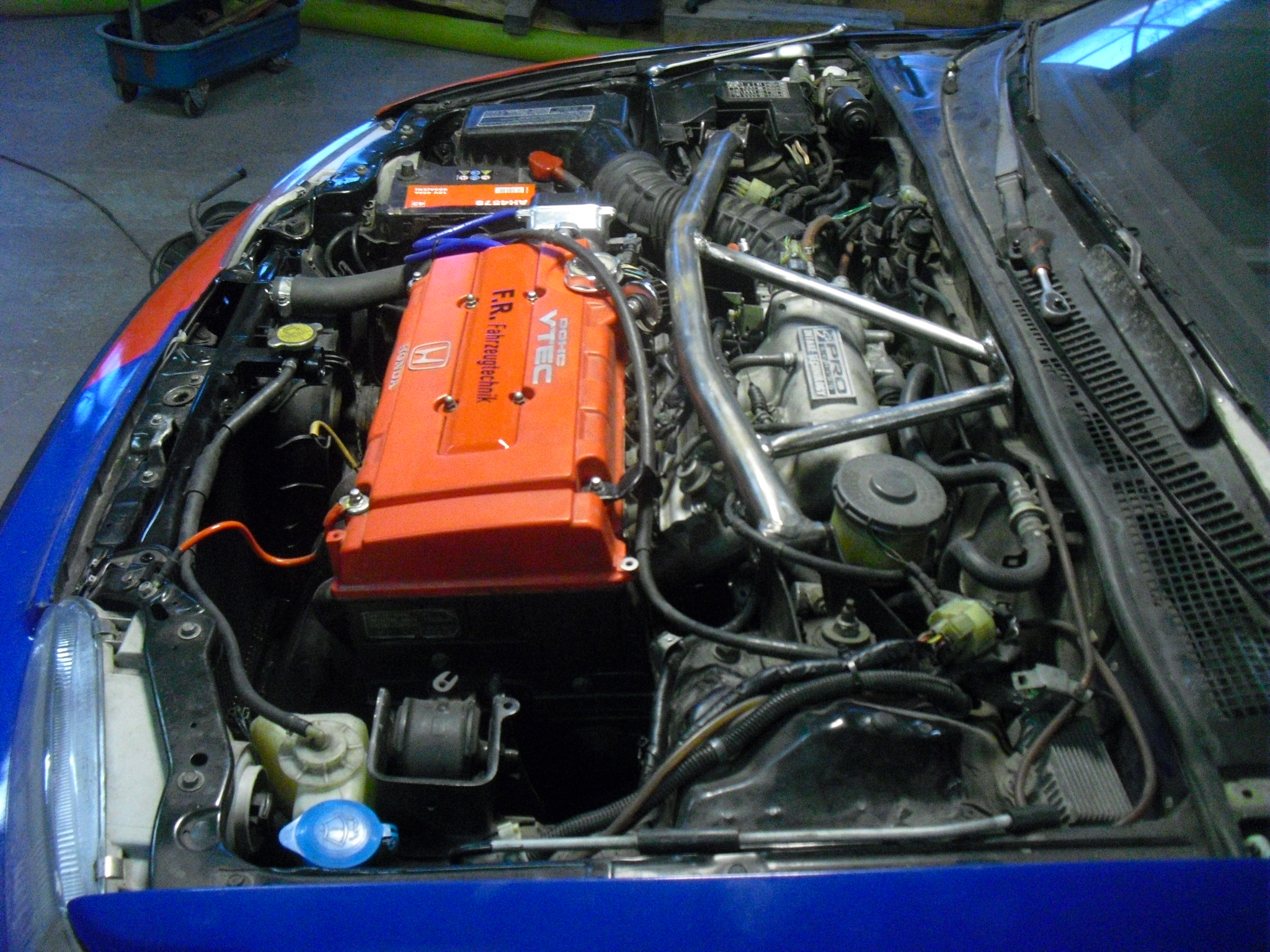CIMG6765.JPG
