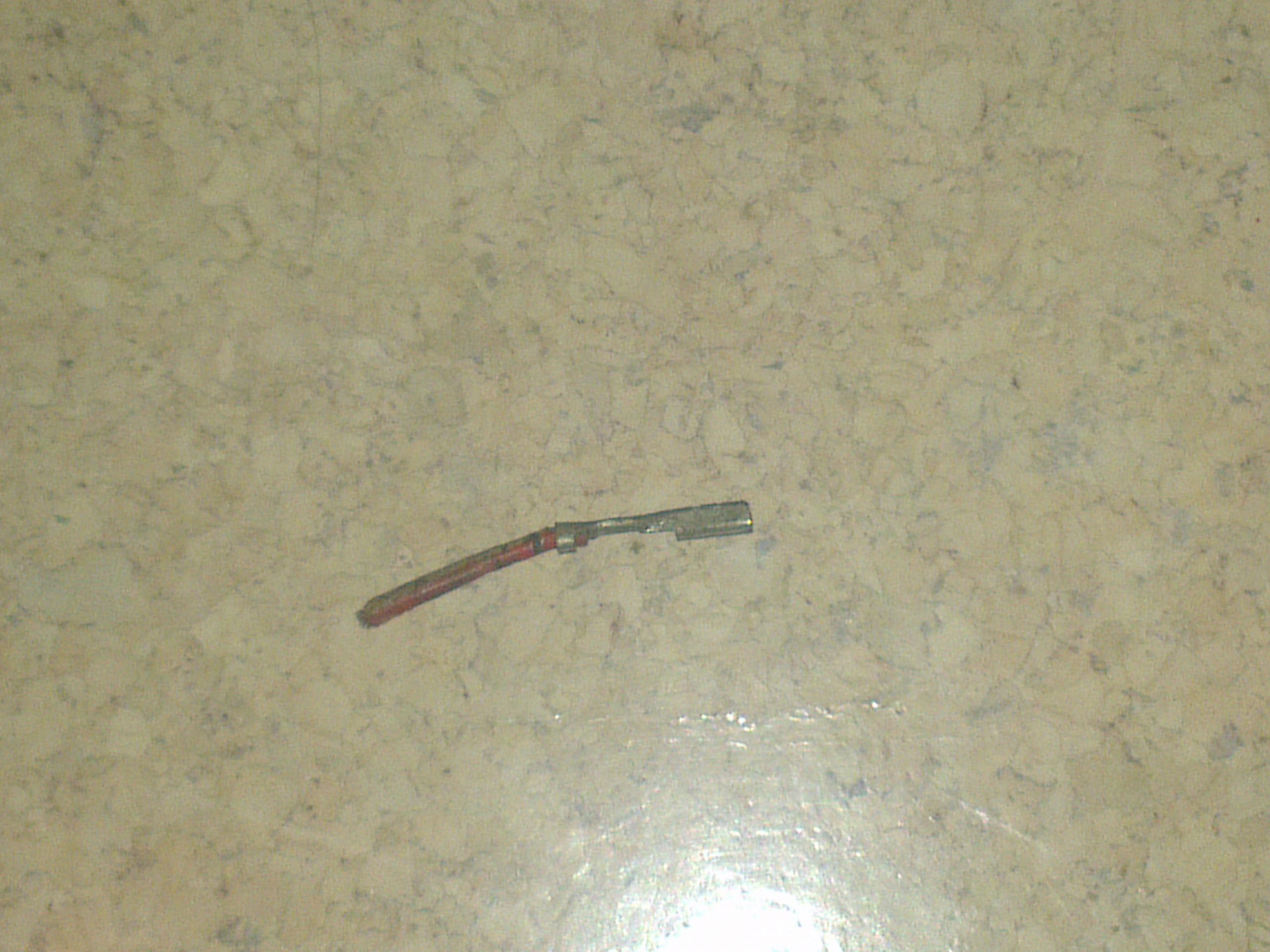IMAG0391.jpg