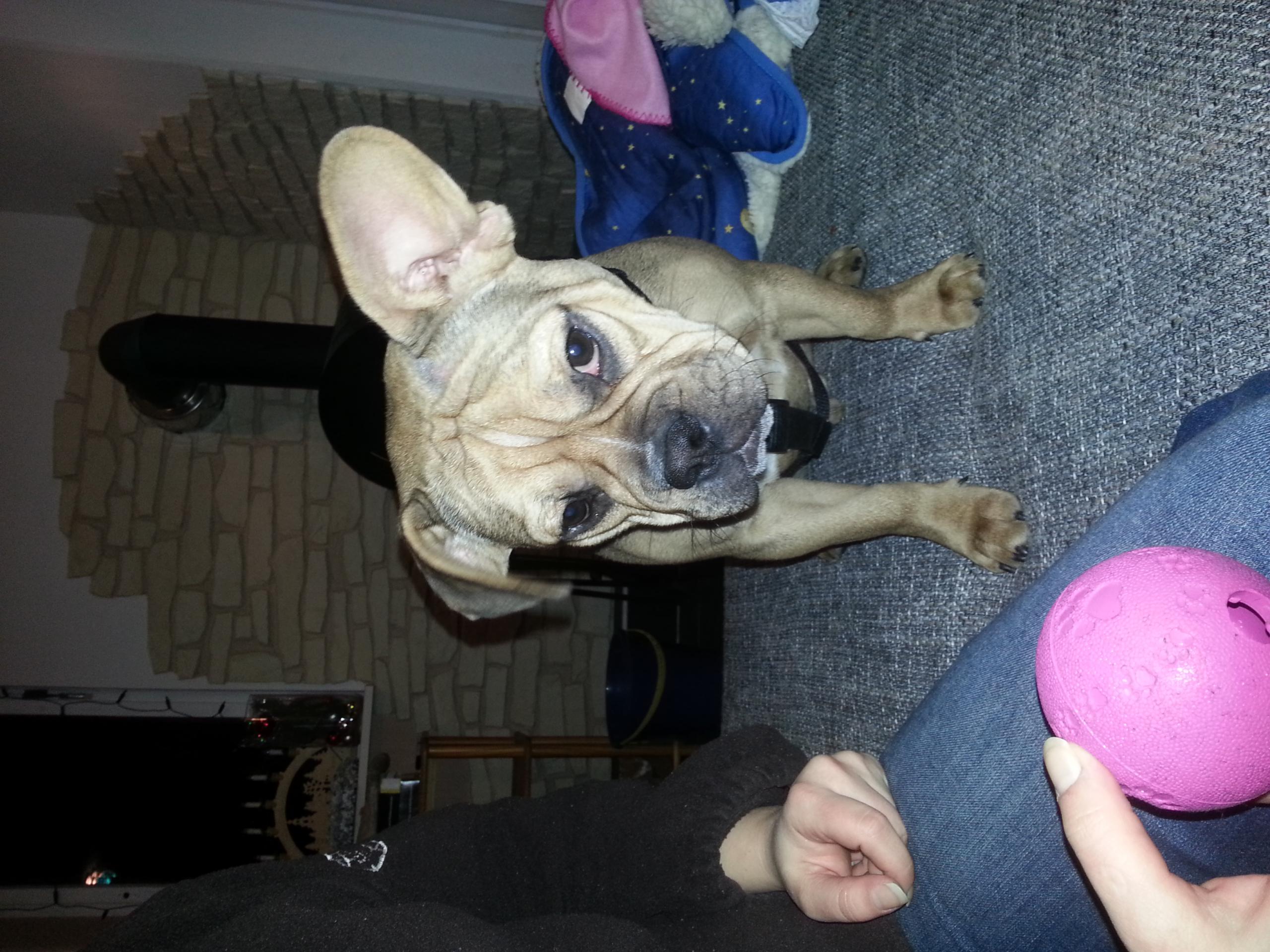 IMG-20140101-WA0001.jpg