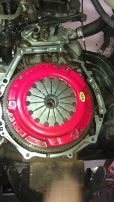 IMAG0841.jpg