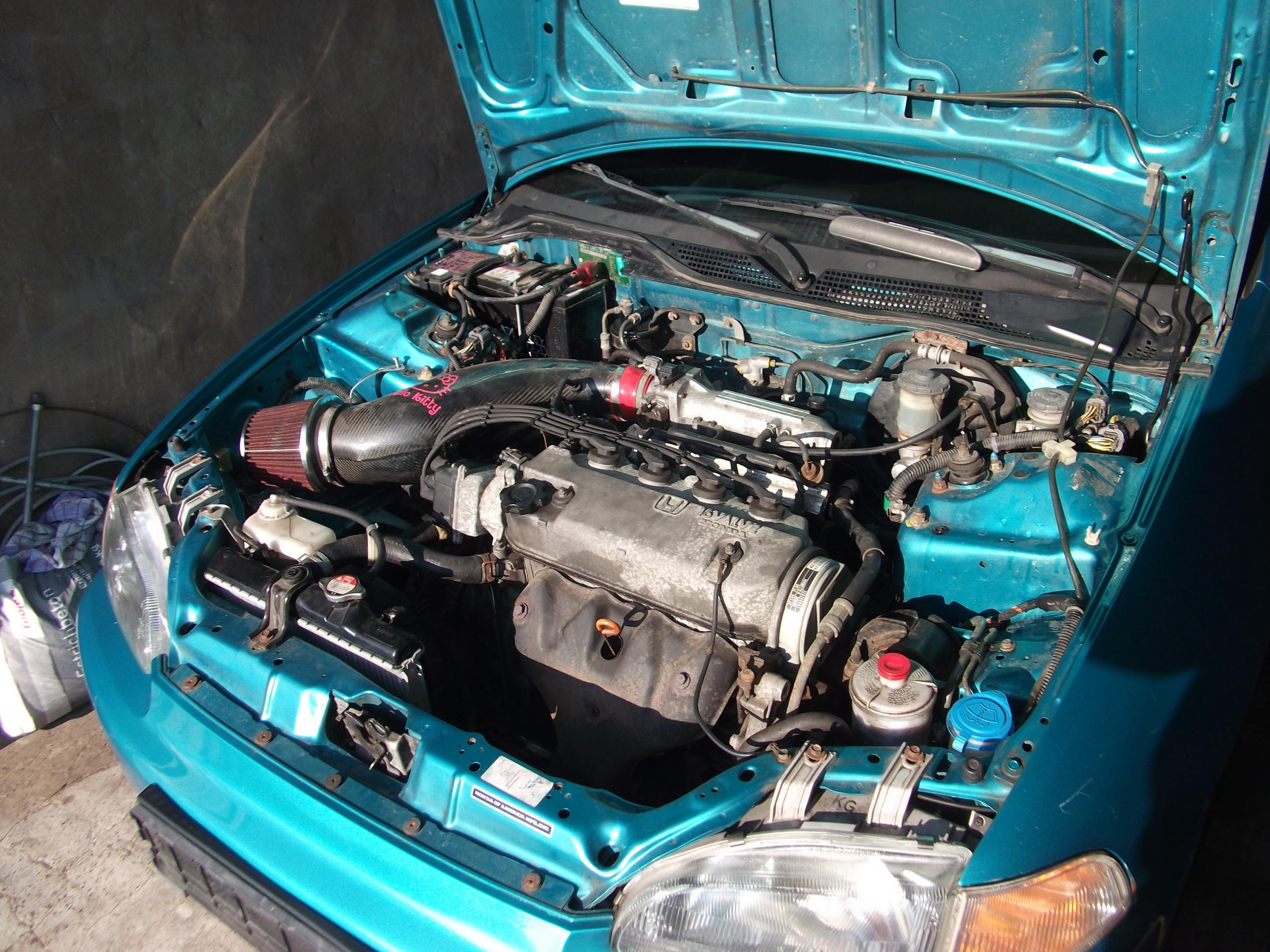 DSCF8520.JPG