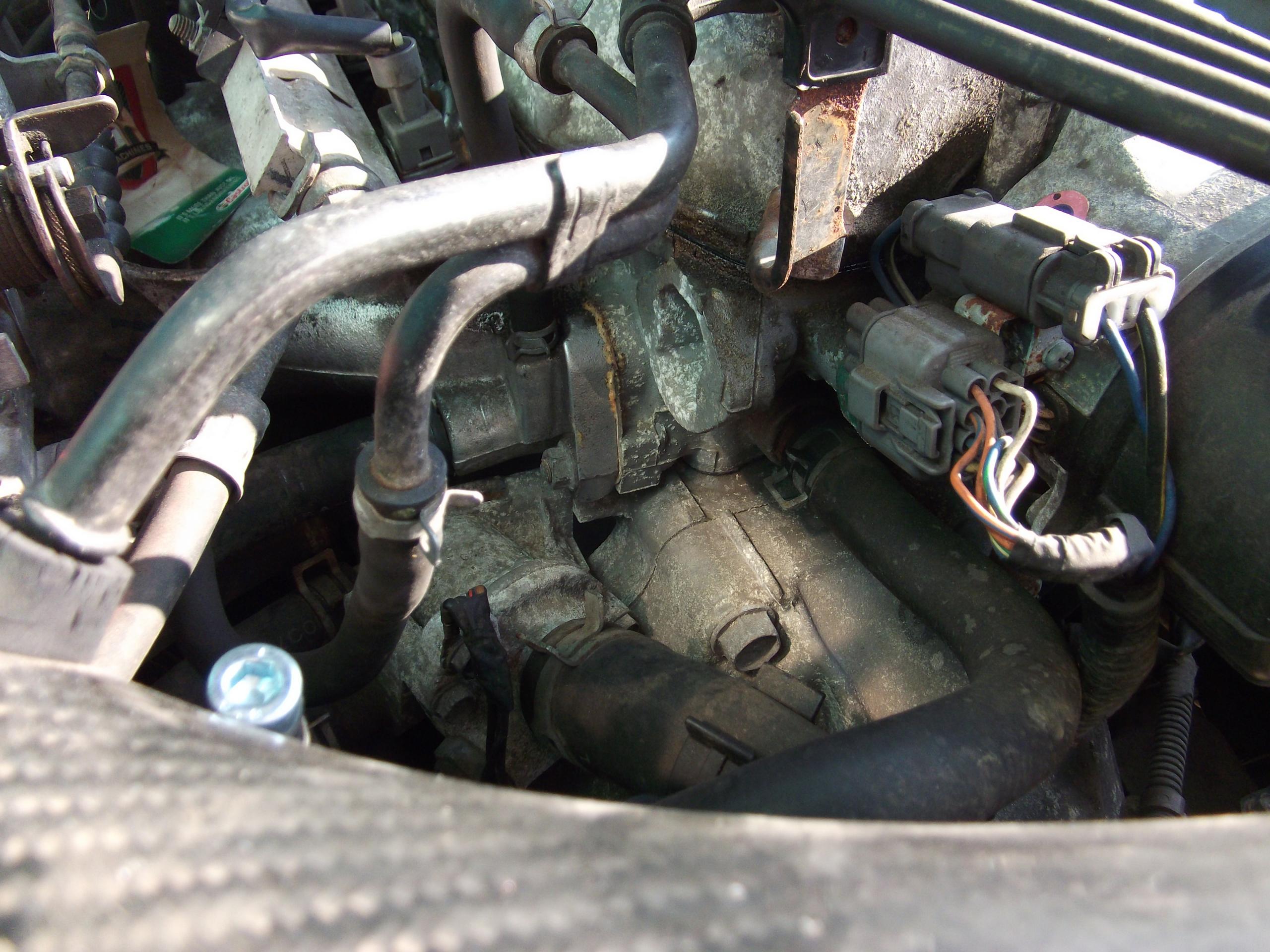 DSCF8526.JPG
