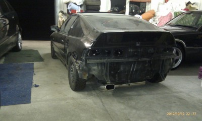 CRX ED9 Steffi.jpg
