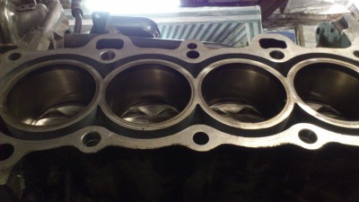 DSC_1727[1].jpg