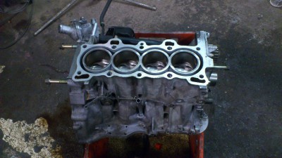 DSC_1729[1].jpg