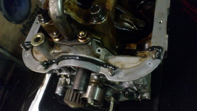 DSC_1732[1].jpg