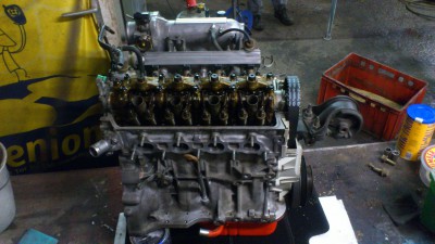 DSC_1743[1].jpg