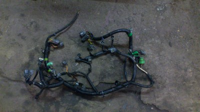 DSC_1788[1].jpg