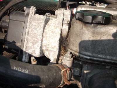 DSCF8521.JPG
