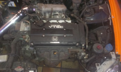 IMAG0358.jpg
