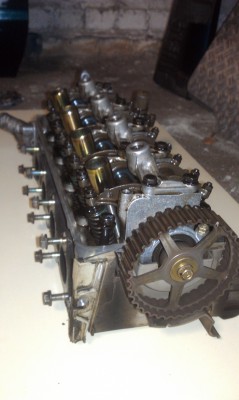 IMAG3163.jpg