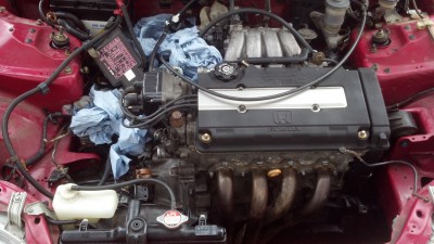 IMG_20140222_145308_648.jpg