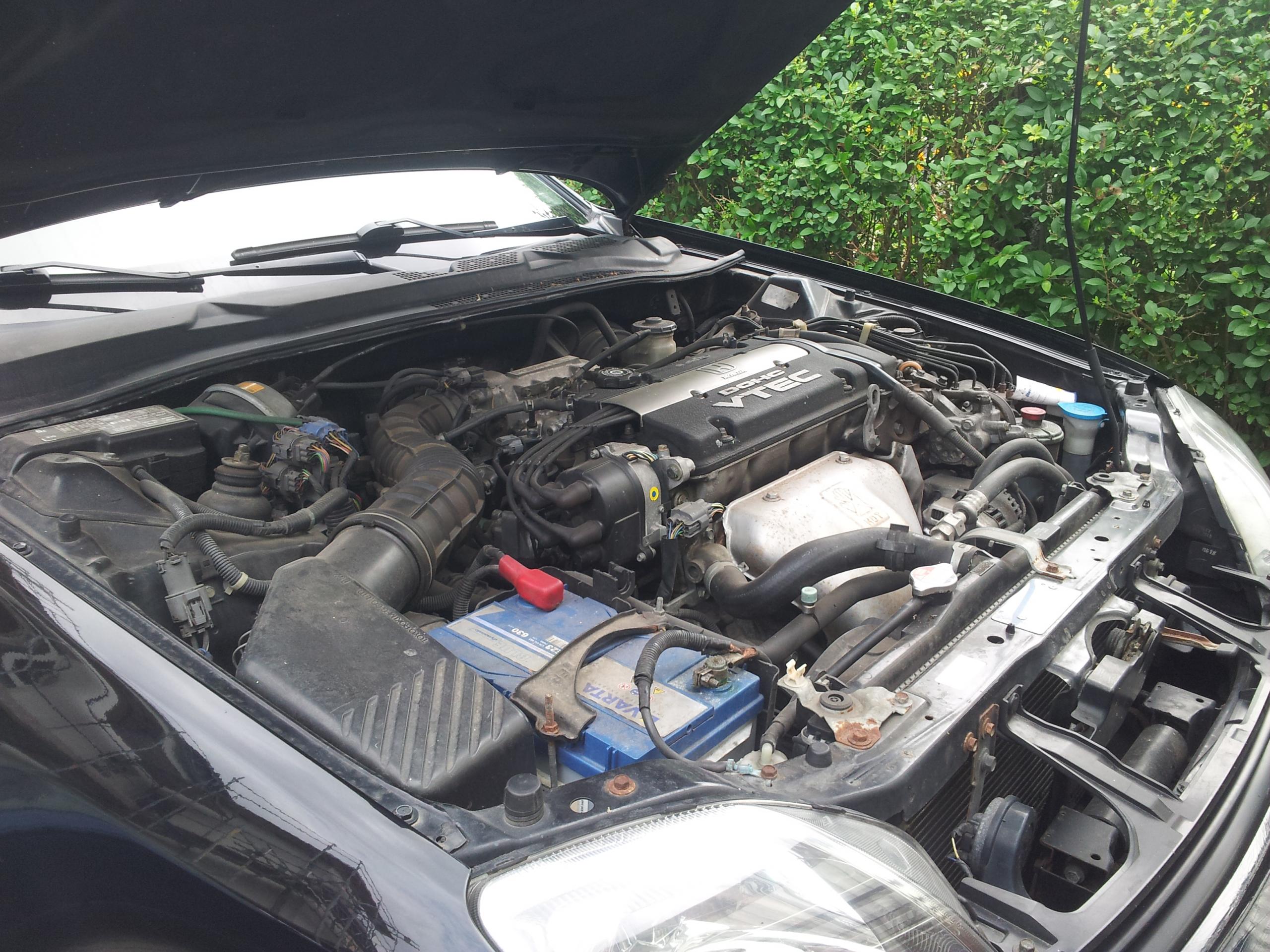 20130808_131653.jpg