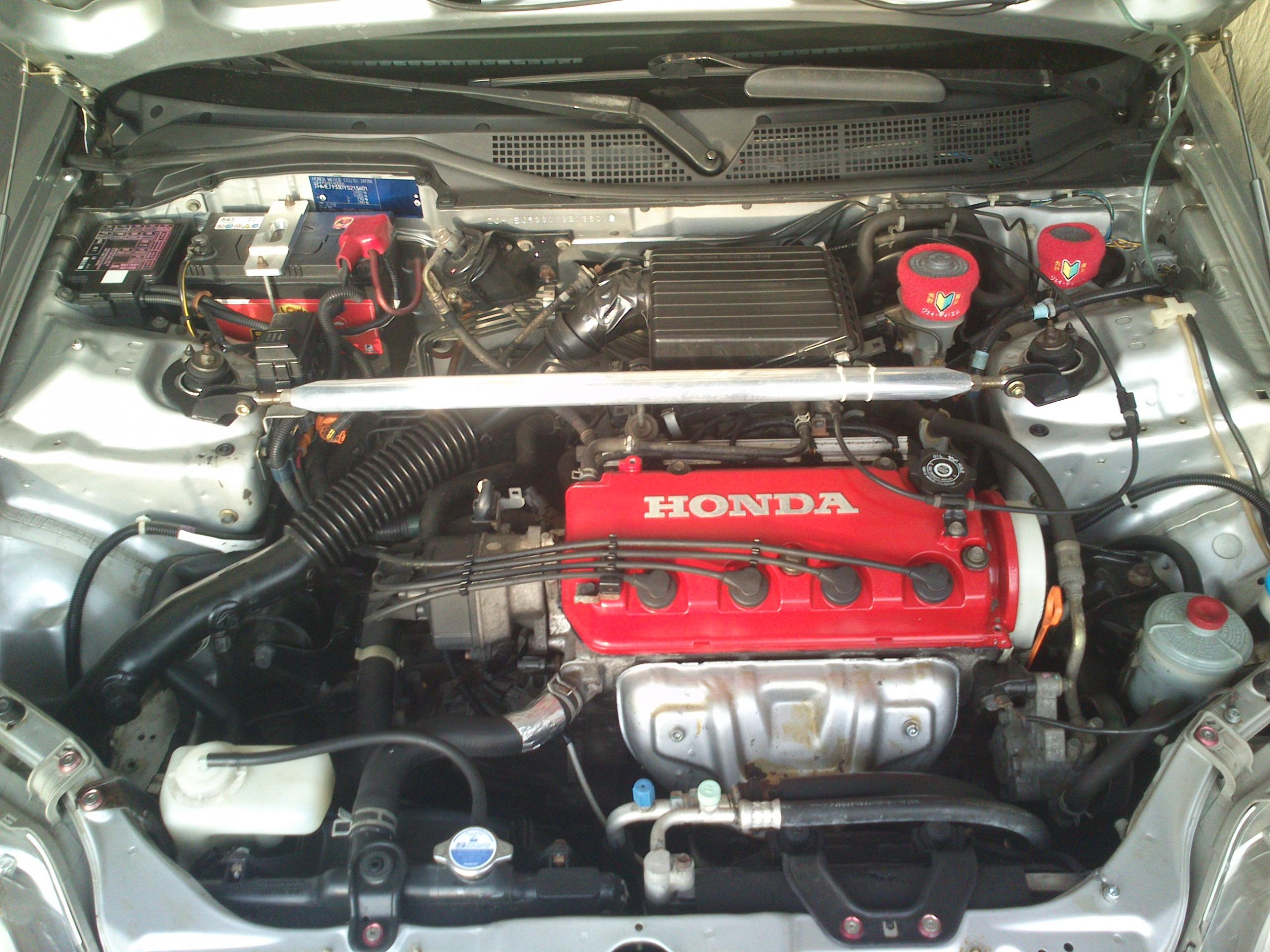 DSC_0174[1].jpg