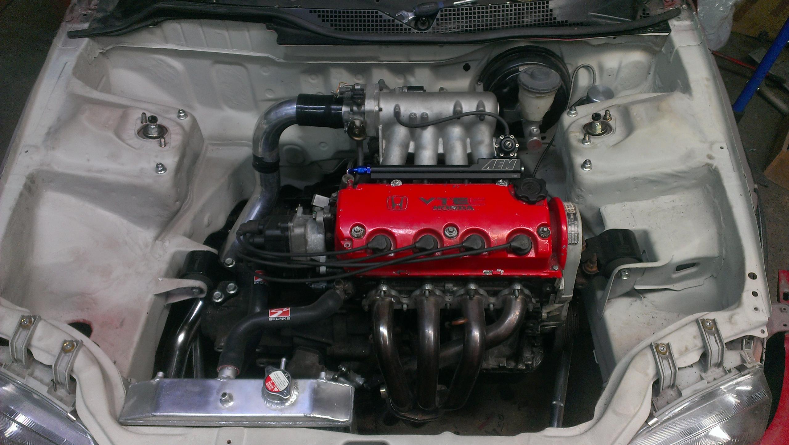 IMAG1295.jpg