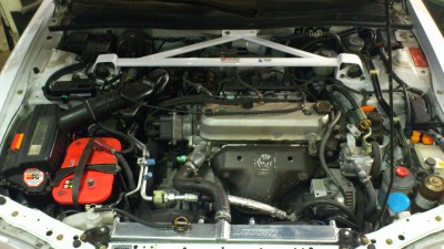 DSC_0549[1].jpg