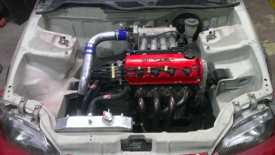 IMAG1232.jpg
