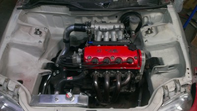 IMAG1295.jpg