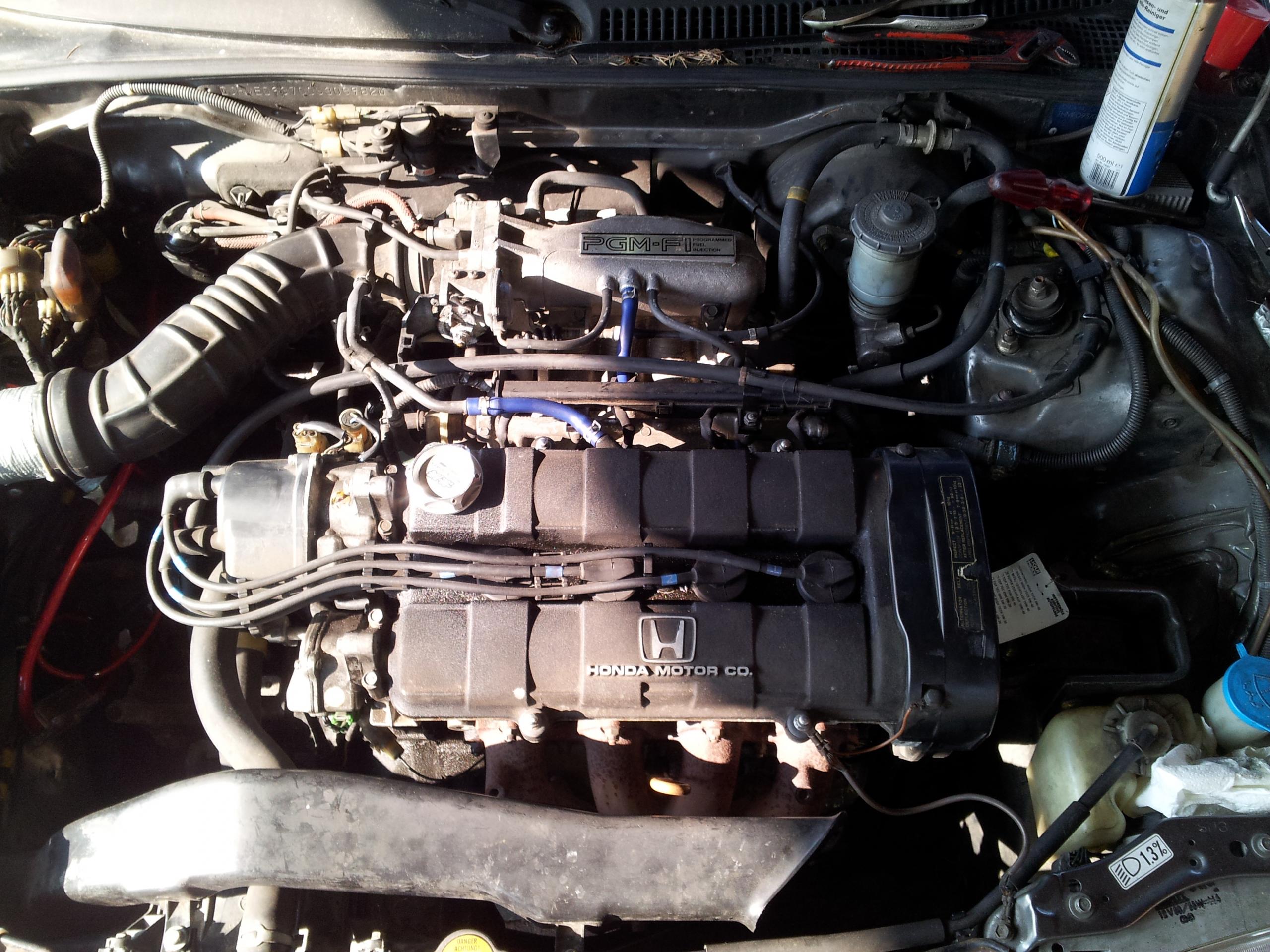 20140424_170807.jpg