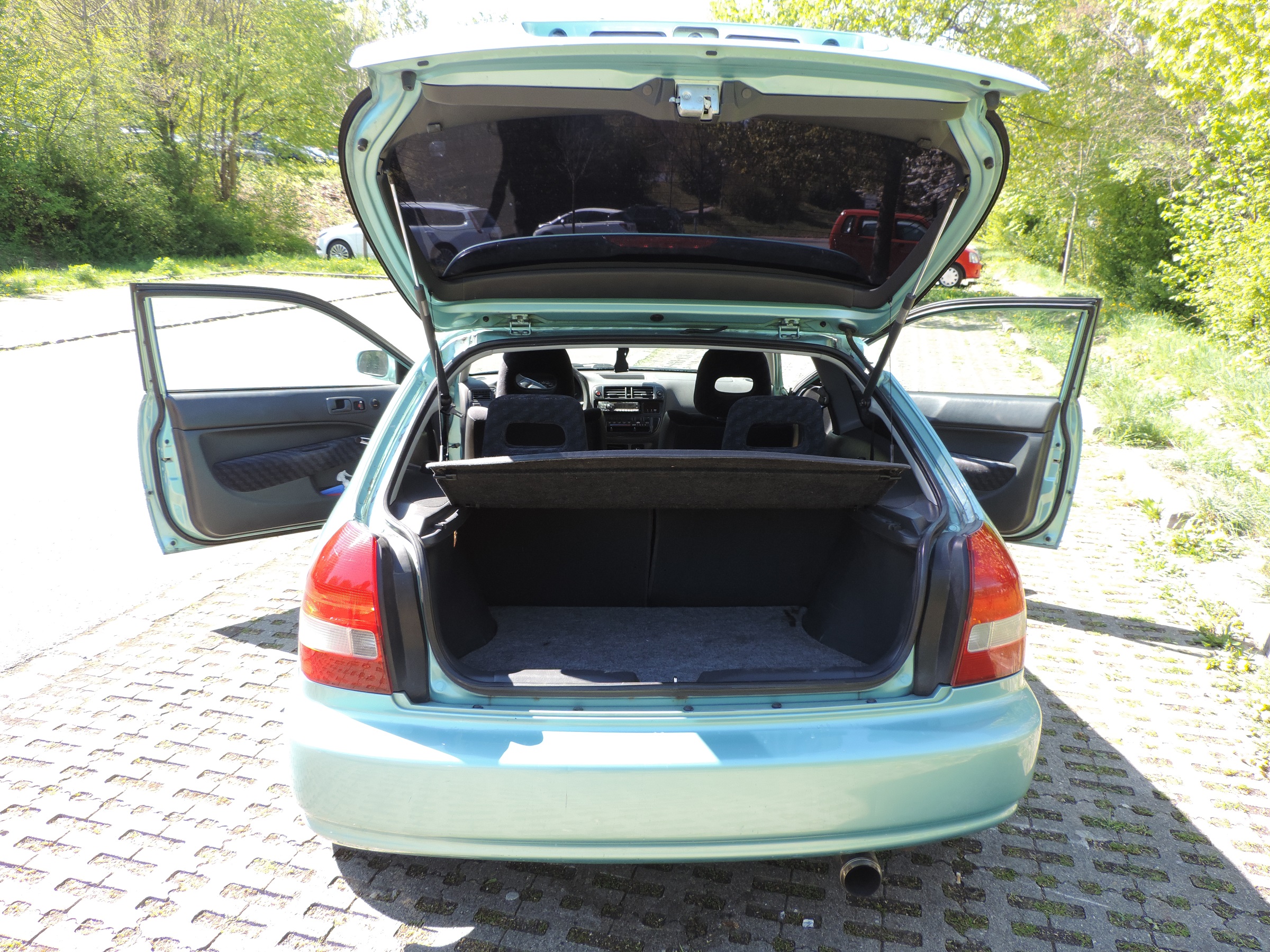 bild8.jpg