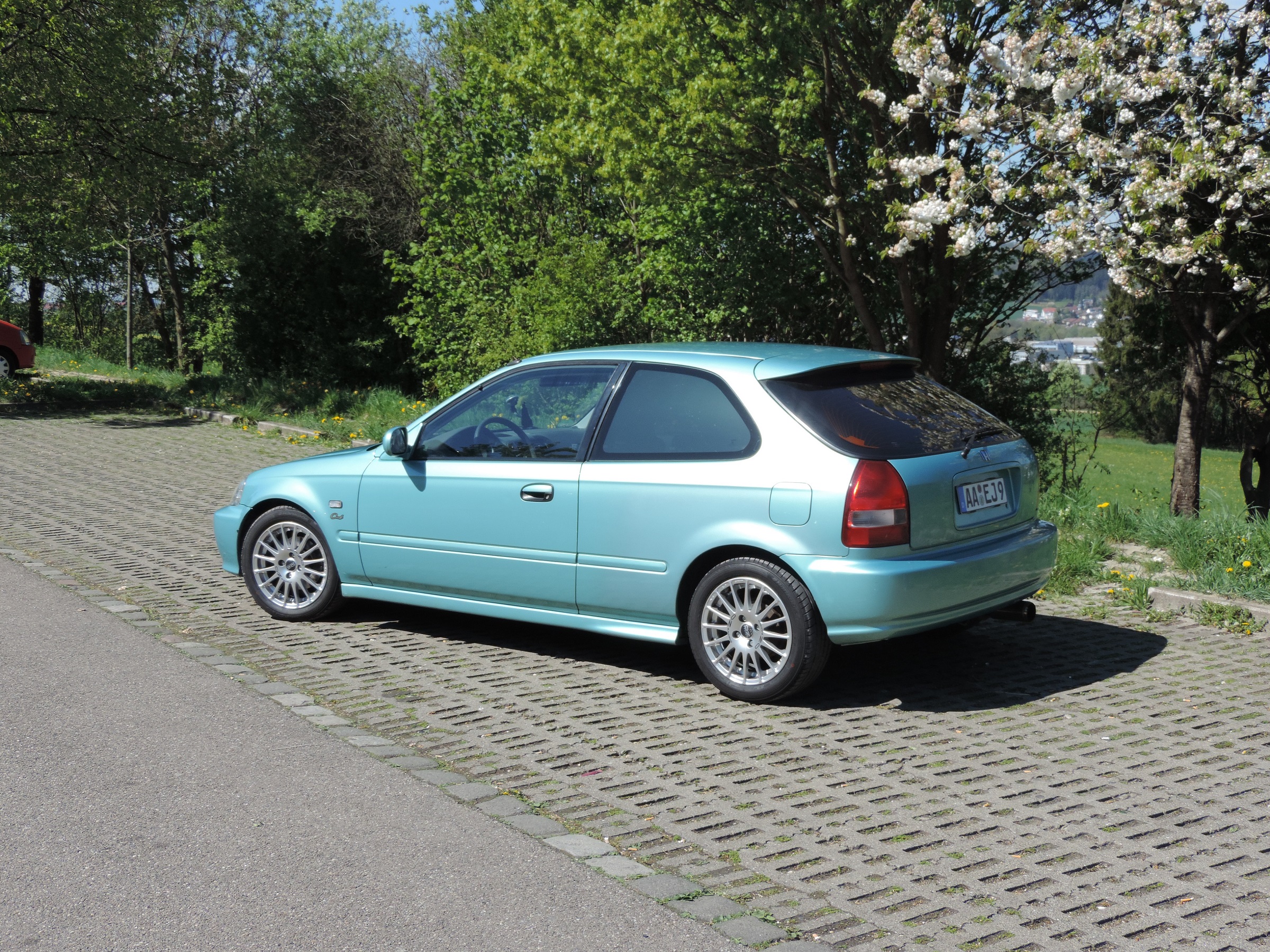 bild 2.jpg