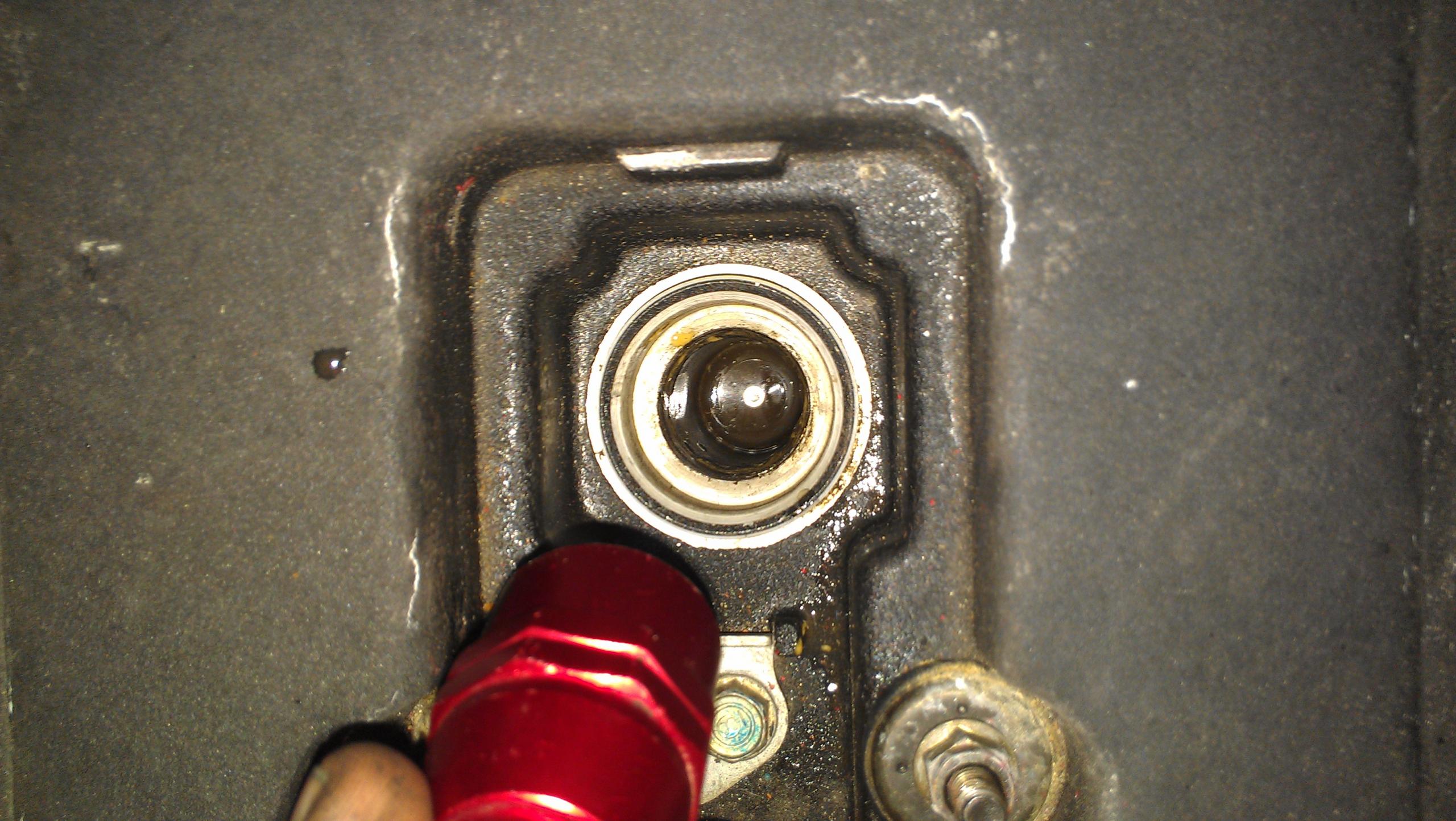 IMAG0667.jpg