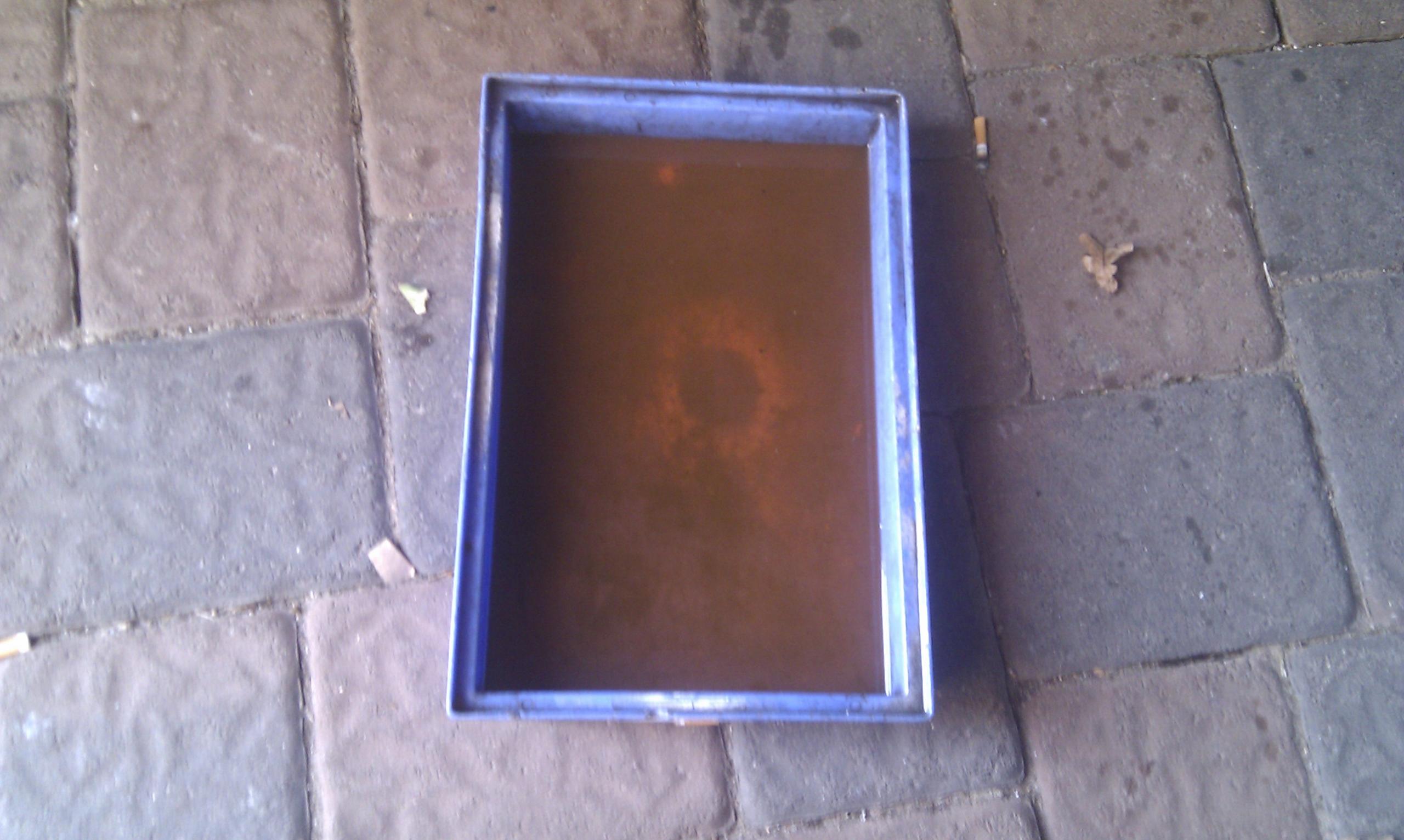 IMAG1231.jpg