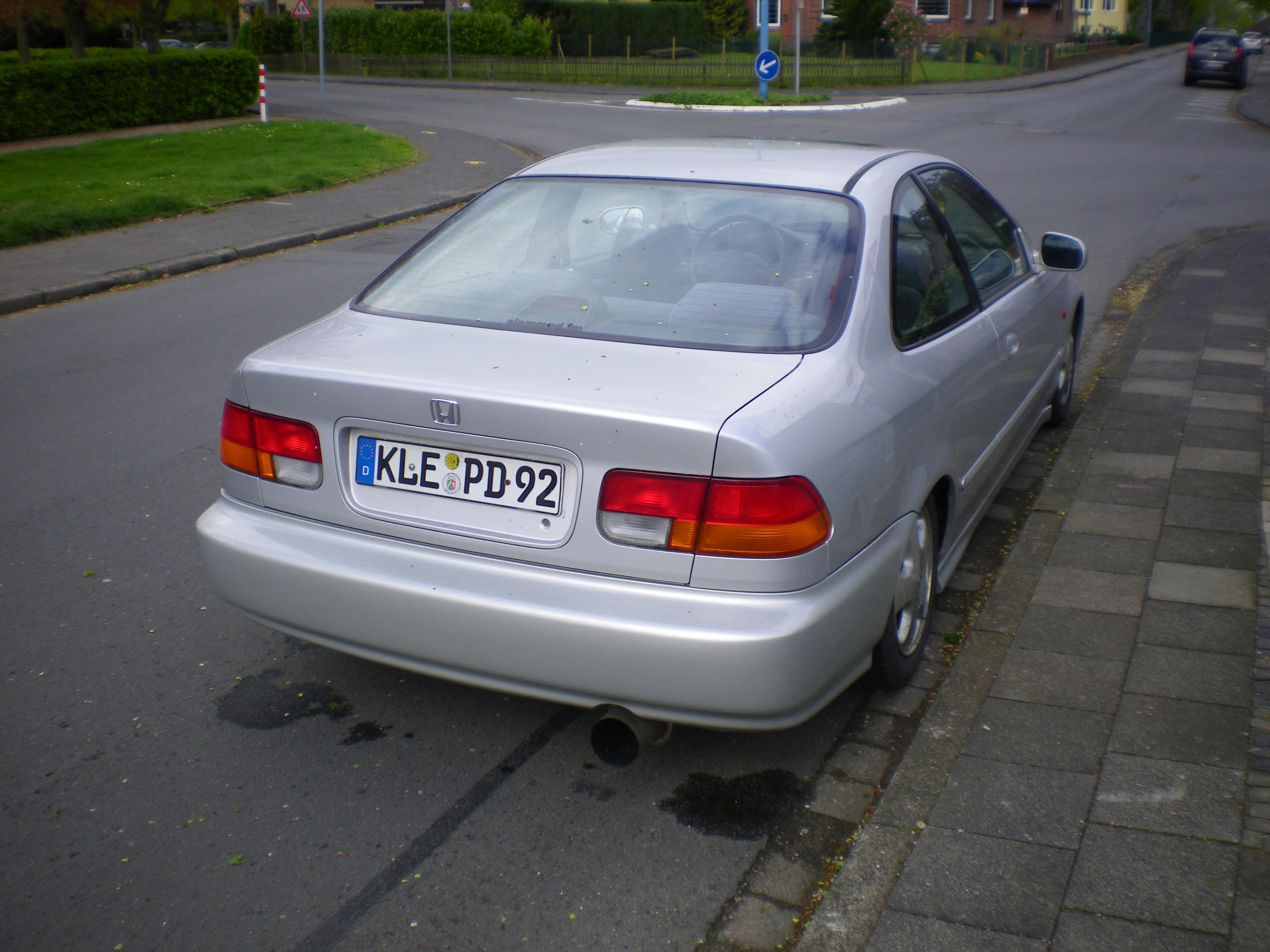 IMGP4088.JPG