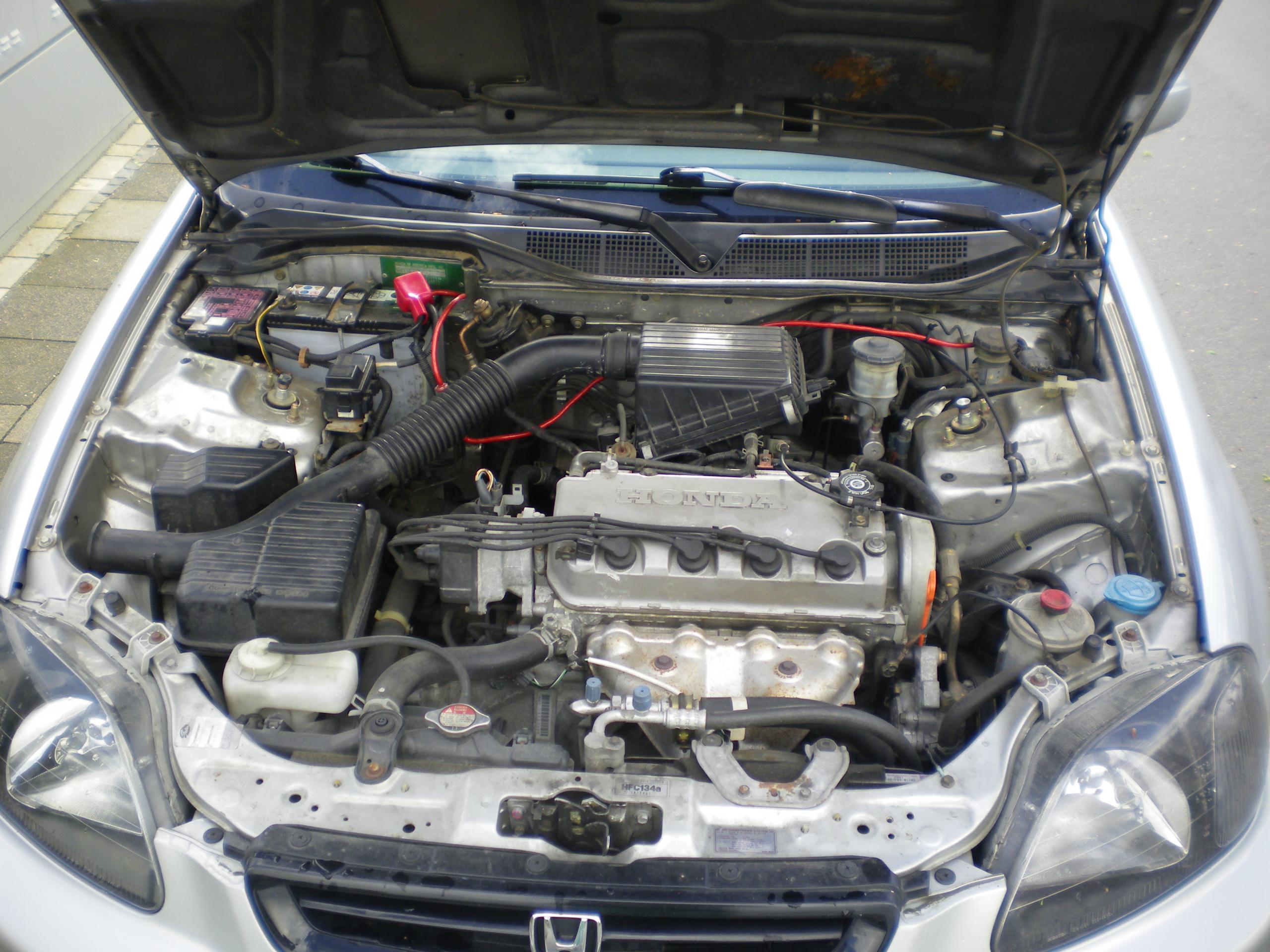 IMGP4090.JPG