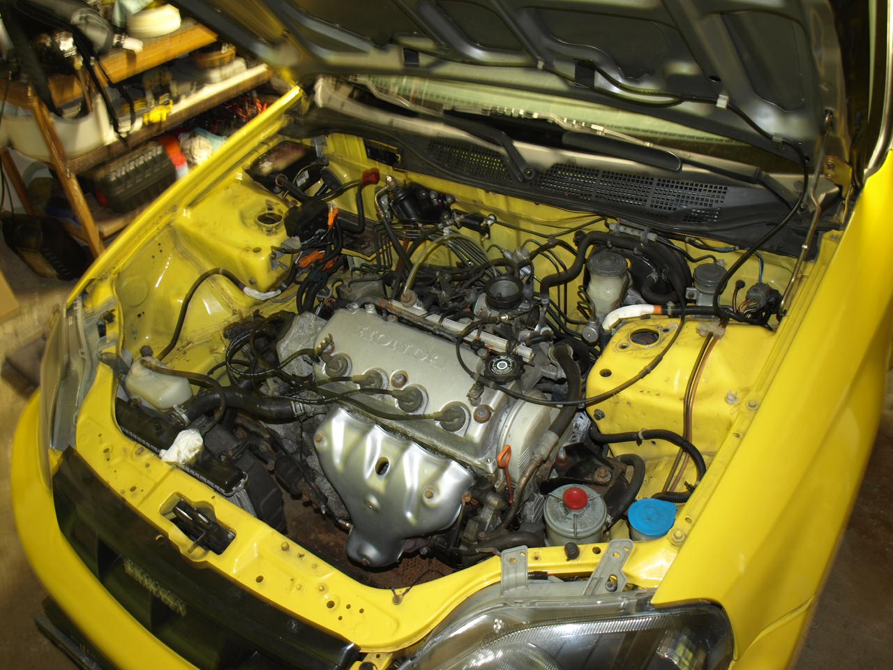 P4278652.JPG