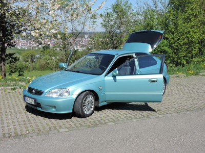 bild4.jpg