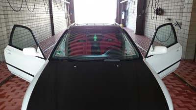 DSC_0072[1].JPG