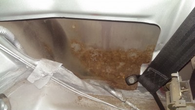 IMAG0454.jpg