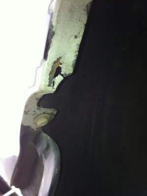 image7.jpeg