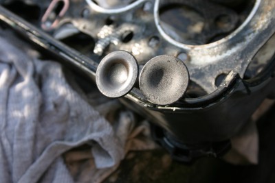 IMG_5258.JPG
