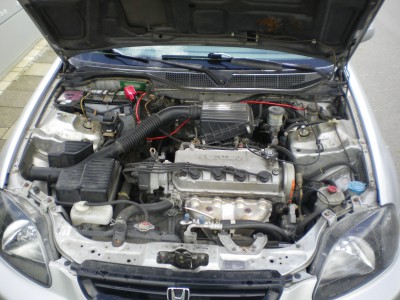 IMGP4090.JPG